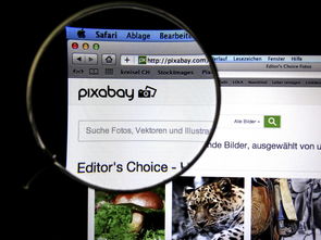 九游网页版官网-体育新闻中心发布体育短视频传播效果白皮书，体育短视频成为平台和用户的新宠