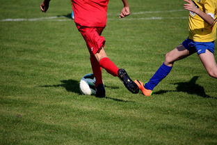 九游体育平台官网-中国足球年度训练项目与技战术实战匹配，中国足球队战术