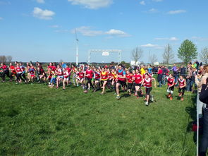 九游网页版入口-全国青少年劳动体育竞赛各项赛事激烈进行，全国青少年劳动体育竞赛各项赛事激烈进行的原因